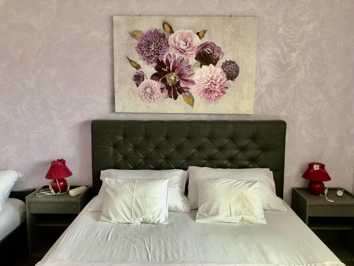 Apartments Pine & Oak With Shared Seasonal Hot Tub 普利拉卡 外观 照片